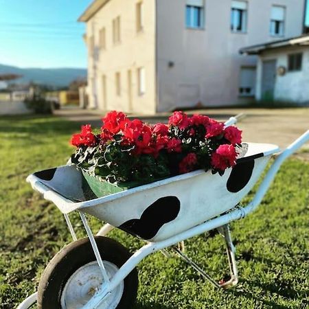 Viviendas Uso Turistico Reme II Foz Exteriör bild