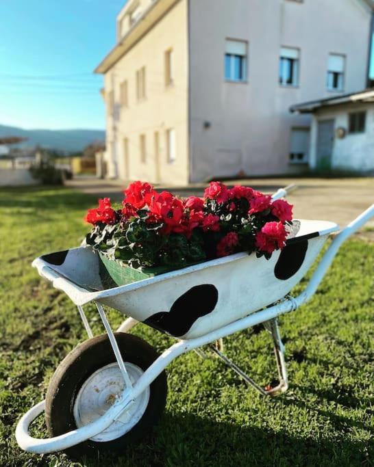 Viviendas Uso Turistico Reme II Foz Exteriör bild